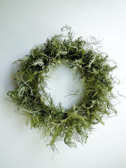 生花】ヒカゲカズラ(20cm程度)束単位【早締切-71】中国産輸入 - 花材