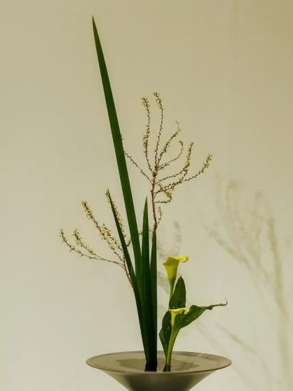 直前!/】雪柳(花付き)70cm- ※商品説明をお読みください。 - 花材