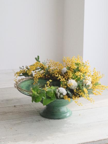 生花】国産 銀葉ミモザアカシア(花)40cm程度 千葉県など 【OR-13