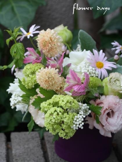 ［アイ］8/11発送 トルコキキョウ、菊、アスター140サイズ 直前!】トルコギキョウ (白・八重フリンジ)ボヤージュ、セレブ