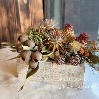 ドライ】コアトレーディング/ヤングプルモッサムスプレー ナチュラル