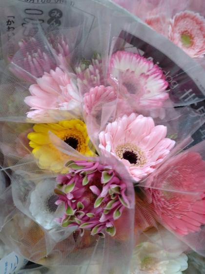 生花】【さぎやま】ガーベラ バラエティMix(ジェルミニふつうサイズ