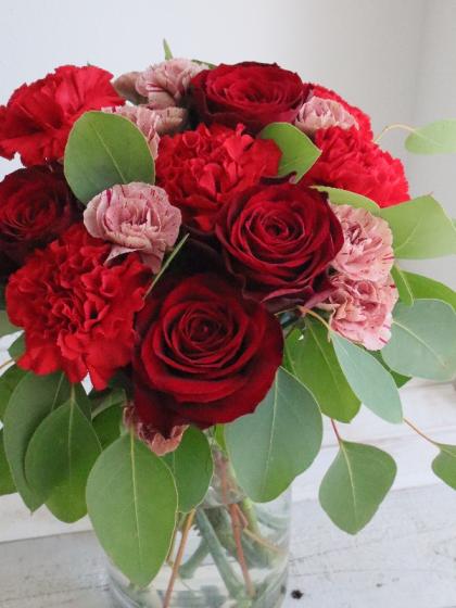【激安大特価！】 生花】バラ アマダ+(赤) 花材通販はなどんや - 【IT-23】 40cm- その他