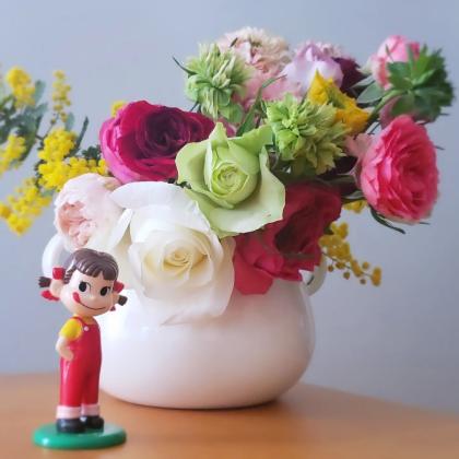 生花】国産ミモザアカシア(4-50cm程度)【OR-63】 - 花材通販はなどんや