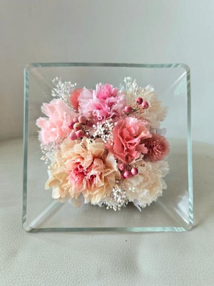 琉球*プリザモス ⭐︎ブランチモスMIX⭐︎ フィンランドモス 【公式通販】