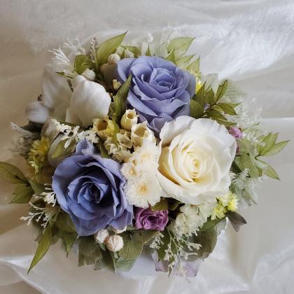 特価◎【プリザーブド】フロールエバー/デンドロビウム S 8輪入り