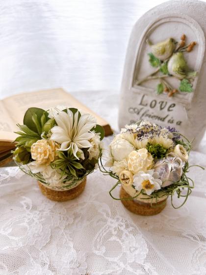 即日☆【ドライ】スターチス ホワイト 約30g/FD003034-001 - 花材通販