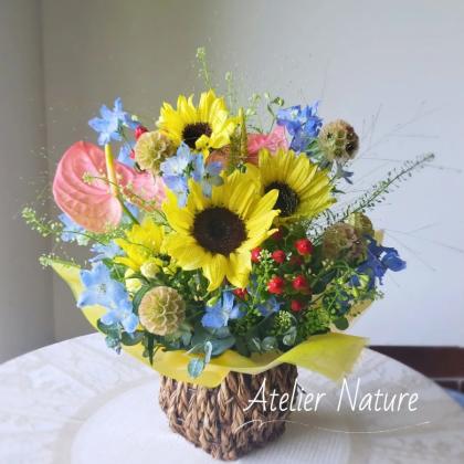 生花】ヒマワリ パナッシェ(10〜12センチ程度) - 花材通販はなど