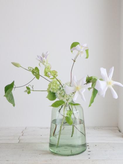 生花】クレマチス ハーグレーハイブリッド(ピンク系)大和クレマチス園