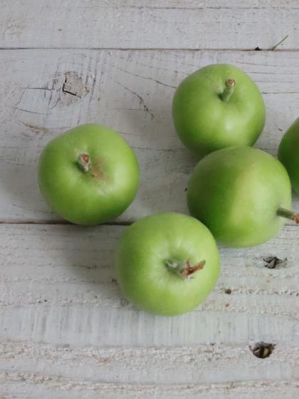 直前!!!】青リンゴ L-2Lサイズ 長野県など - 花材通販はなどんやアソシエ