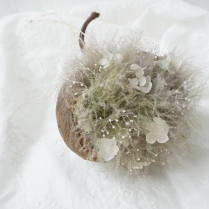 生花】スモークツリーファー2ピンク M60cm程度 星野さん【IT-29】 - 花