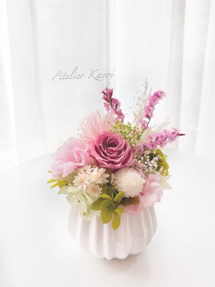 即日☆【ドライ】大地農園/スターフラワー・ミニ 白 12g/30194-011