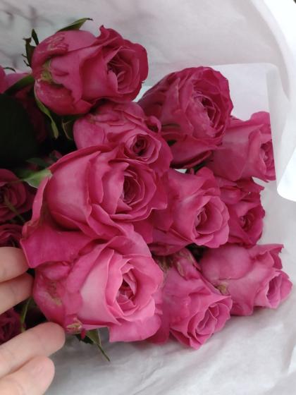 ＊やっちゃん様おまとめ＊瑪瑙薔薇　ピンクグラデーション　ラビットヘアルチル やっちゃん様おまとめ＊瑪瑙薔薇 ピンクグラデーション ラビット