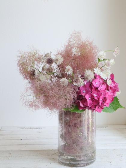 生花】スモークツリーファー2ピンク M60cm程度 星野さん【IT-29】 - 花