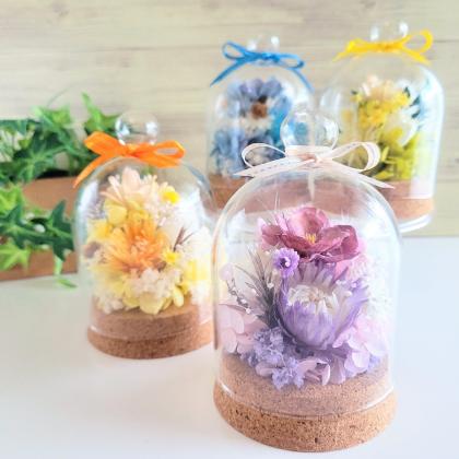 ドライ】【小分け】大地農園/フーセンポピー ぎこち 