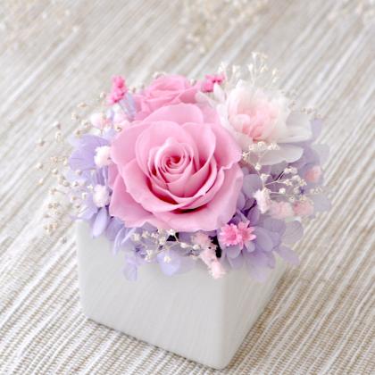 クレイ/カラ-ベ-スキュ-ブSS WHITE/144-776-100 - 花材通販は