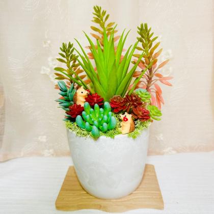 即日☆【プリザーブド】GARDEN PALETTE MONO/アイスランドモス 約50g