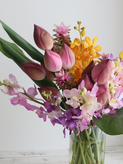 Stark26さま専用　おまとめ　プリティピンク特大　モンステラミドルカット Stark26さま専用 おまとめ プリティピンク特大 モンステラミドルカット