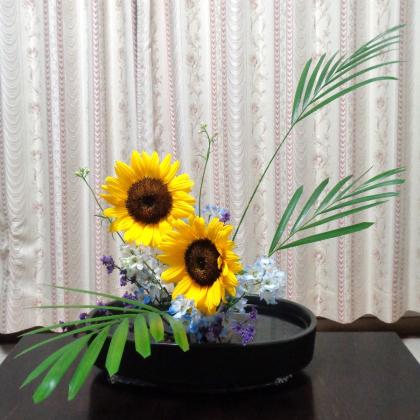 jumbo flower sun flower （ヒマワリ） | ALL GOOD FLOWE