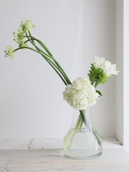 生花】輸入アジサイ(白)40cm～【OR-89】 - 花材通販はなどんやアソシエ