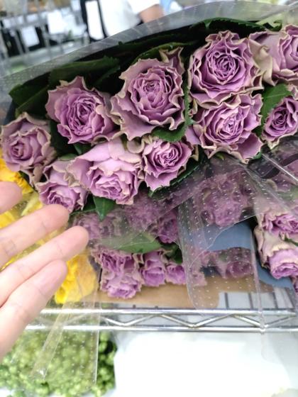 直前】【生花】ケニアローズ クラシカルパープル(ライラック) 50cm