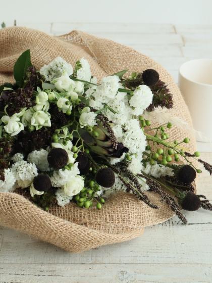 生花】プロテア ニオベ(白黒系) 50cm 南アフリカ産 【OR-83】※月曜入荷