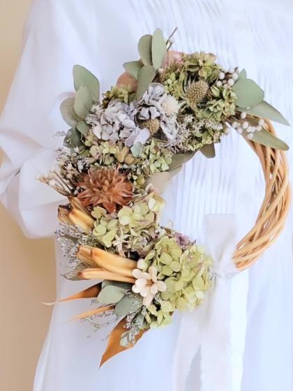 ドライ】土と風の植物園/リューカデンドロ プルモサス/dry-275 - 花材