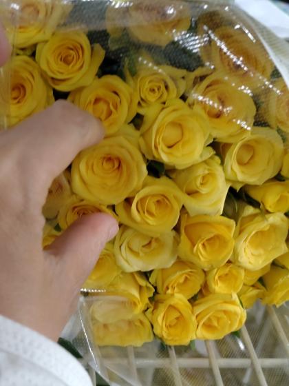 そら様おまとめ[バラ 切り花 生花]1 bara1.jpg