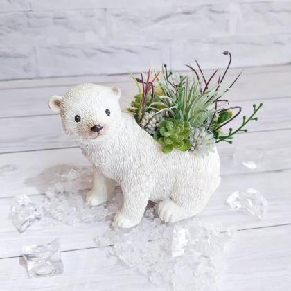 クリスタルアイス(約24コ)100g入り/GI36 - 花材通販はなどんやアソシエ