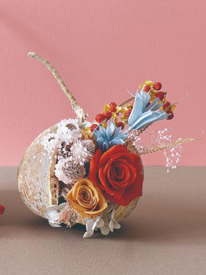 即日☆【ドライ】大地農園/ブッダナッツ 2個 ナチュラルベージュ/85700