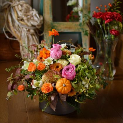 はなはな様 生花】キバナコスモス (オレンジ)40cm-【FJ】 - 花材通販はなどんや