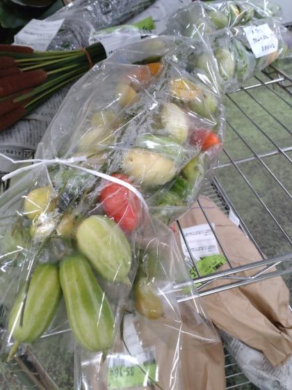 生花】カラスウリ 70cm～【早締切-74】※商品状態は時期により異なる※木