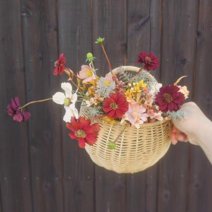 造花】アスカ/チョコレートコスモス×3 つぼみ×1 #028C チョコブラウン