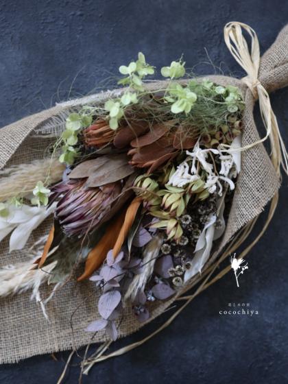 即日☆【ドライ】大地農園/グレビレア・ゴールド 2本 N/16200-000 - 花