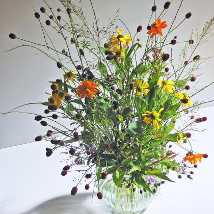 生花】野ばらの実(つまみ)20-30cm程度 ※実色時期により異なる【OT