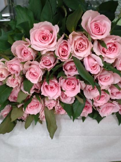 生花】バラ ブロッサムピンク【IT-23】 - 花材通販はなどんや