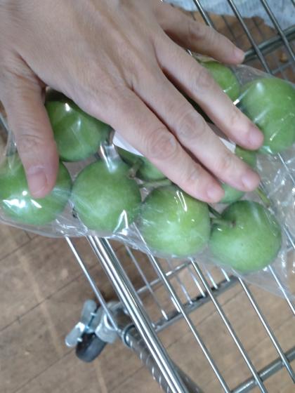 直前!!】【生花】青リンゴ L-2Lサイズ 長野県など - 花材通販は