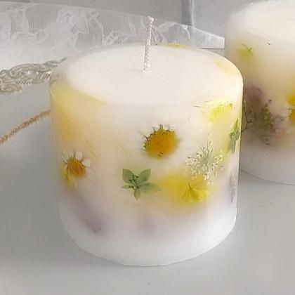 アウトレット◎即日☆【ドライ】押し花 菜の花 24輪/1-208 - 花