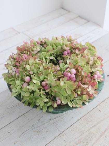 生花】アジサイ 秋色ミナヅキ(ピンク)Lサイズ 片品村など ※商品説明を