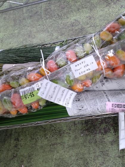 生花】カラスウリ 70cm～【早締切-74】※商品状態は時期により異なる※木