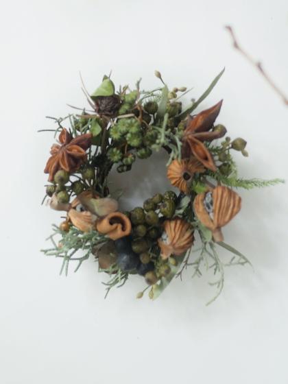 生花】野ばらの実(つまみ)20-30cm程度 ※実色時期により異なる【OT