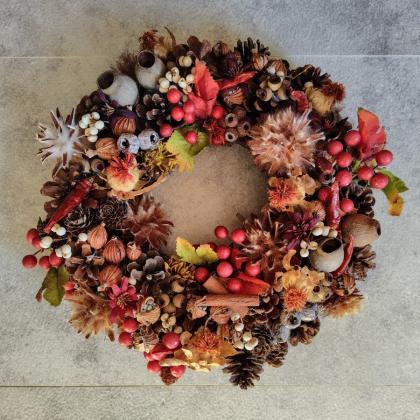 直前】リューカデンドロ プルモサス(実もの系・茶) - 花材通販はなどん