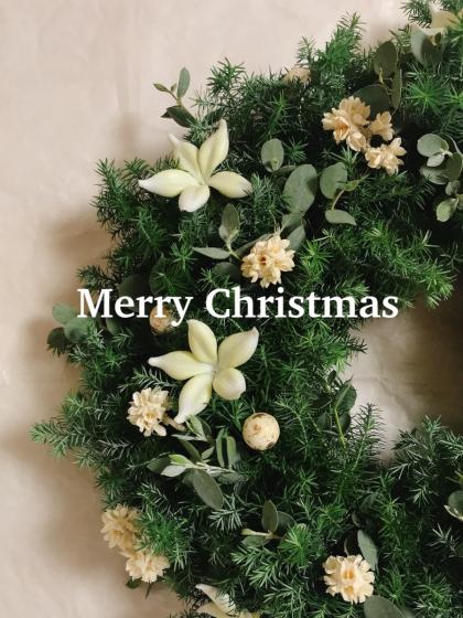 造花】MAGIQ東京堂/エレガンステファノーチス WHITE/FM003597 - 花材