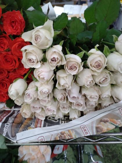 生花】バラ レクイエム+ 保科バラ園 - 花材通販はなどんやアソシエ