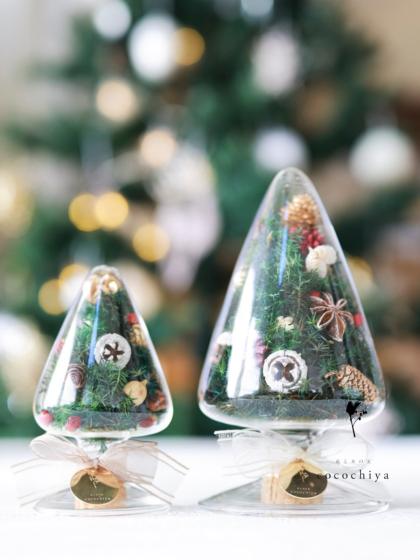 特価◎即日☆POSH LIVING/シードボトル/22587 - 花材通販はなどんや