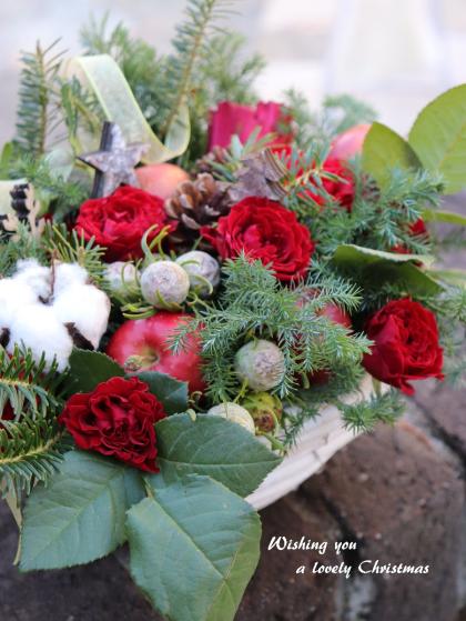 直前!】リューカデンドロ ジェイドパール(シルバー系)40cm程度【OTOT