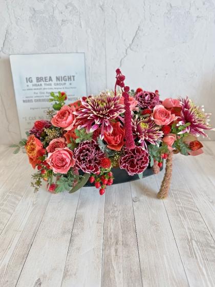 生花】銀葉アカシア 70cm程度 【IT】※ミモザではありません - 花材通販