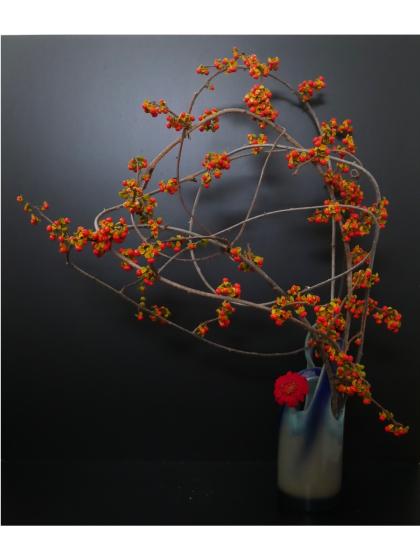 生花】ツルウメモドキ(80cm程度)※木金入荷少【早締切-74】 - 花材通販