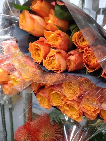 生花】ケニアローズ コンフィデンシャル 50cm〜(オレンジ)【FJ】 - 花