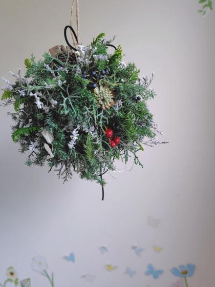 miyabiのブルーアイス 切枝 切花 コニファー クリスマス お正月 生花 生花】宮内バラ園のコニファー ブルーアイス 50cm程度(シルバー